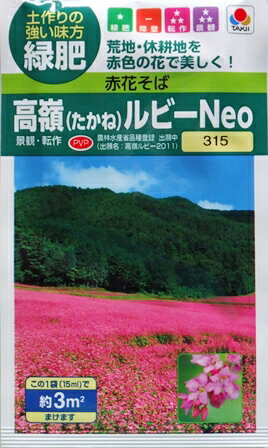 【緑肥（赤花そば）】 高嶺（たかね）ルビーNeo【タキイ種苗】（15ml）[秋まき]