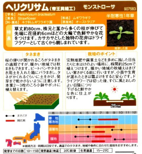 【ヘリクリサム（帝王貝細工）】モンストローサ【サカタのタネ】（0.8ml）【半耐寒性一年草】[春まき][秋まき]907583