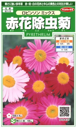 【赤花除虫菊】ロビンソンミックス【サカタのタネ】（1ml）【多年草】906435