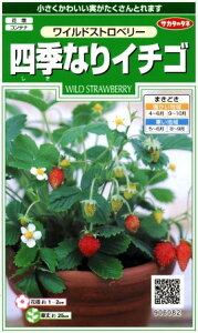 【四季なりイチゴ】ワイルドストロベリー【サカタのタネ】(0.1ml)【多年草】[春まき][秋まき]906082