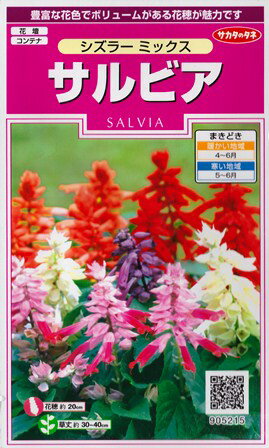 【サルビア】シズラーミックス【サカタのタネ】（0.3ml）【春まき一年草】[春まき]905215のサムネイル