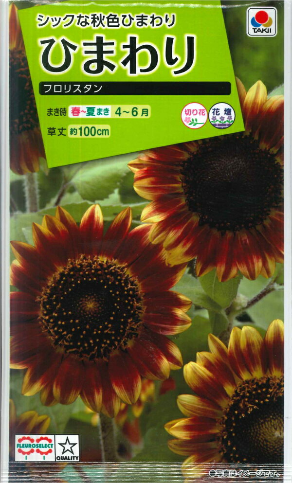 【ひまわり】フロリスタン【タキイ種苗】（2ml）[春まき]ヒマワリの種のサムネイル