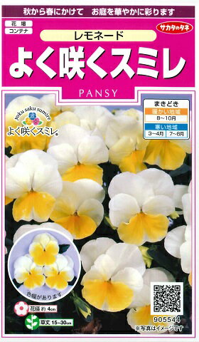 【パンジー】よく咲くスミレ【レモネード】【サカタのタネ】（40粒）【耐寒性一年草】905544【RCP】のサムネイル
