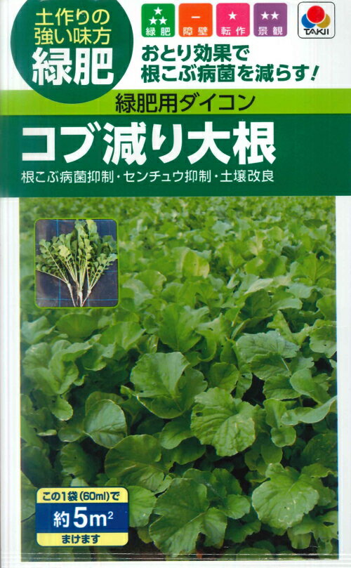 樂天商城 - 【緑肥用ダイコン】コブ減り大根（60ml）[春まき][秋まき]【タキイ種苗】