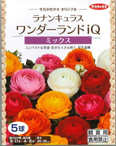 【秋植え球根】ラナンキュラス （ワンダーランドIQ）ミックス　【サカタのタネ】（5球詰）