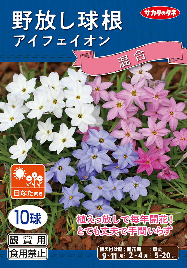 野放し球根【アイフェイオン 混合】【秋植え球根】（10球詰）【サカタのタネ】日なた向き