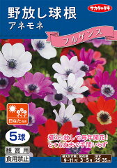 https://thumbnail.image.rakuten.co.jp/@0_mall/yonezawa/cabinet/kyukonaw/k-furugensumix.jpg