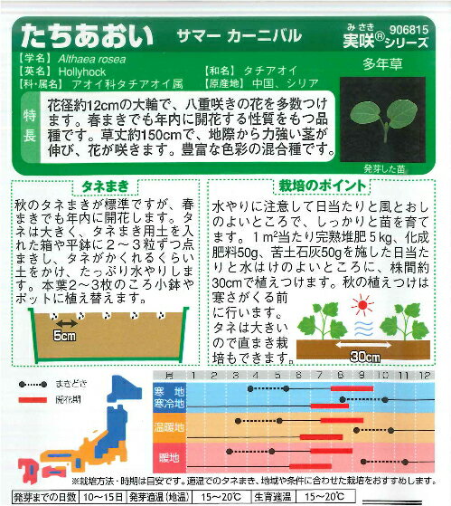 �ڥ��ޡ������˥Х�ۤ����������ڥ������Υ��ۡ͡�2ml�ˡ�¿ǯ��ۥۥ�ۥå�[�դޤ�][���ޤ�]906815