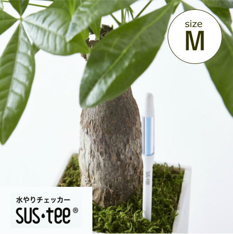 サスティー交換用中芯リフィル L (sustee サスティー)【代引不可商品】【P5倍】6／6 1:59迄 【ポイント5倍】