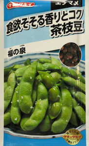 【エダマメ】うまい茶枝豆 福の泉【タキイ種苗】（40ml/約90粒）野菜種[春まき]AED159