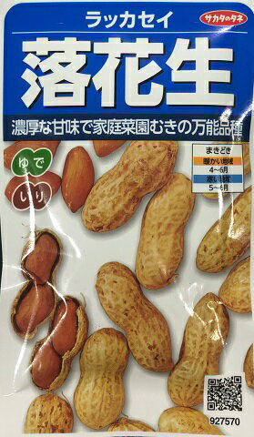 【ピーナッツ】落花生（ラッカセイ）【サカタのタネ】（40ml）野菜種 [春まき]927570