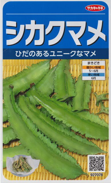 【シカクマメ】四角まめ 【サカタのタネ】（10ml）野菜種[春まき] 927078