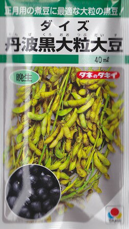 【ダイズ】丹波黒大粒大豆 【タキイ種苗】（35ml）野菜種[春まき]GF