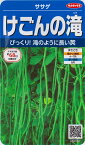 【ササゲマメ】けごんの滝【サカタのタネ】（6.5ml）野菜種[春まき] 927077