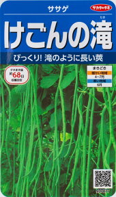 【ササゲマメ】けごんの滝【サカタのタネ】（6.5ml）野菜種[春まき] 927077