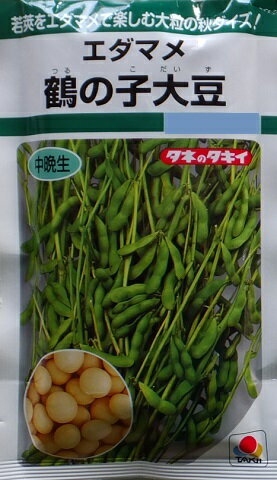 【ダイズ】鶴の子大豆 【タキイ種苗】（60ml）野菜種[春ま