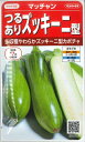 【マッチャン】つるありズッキーニ型カボチャ 【サカタ交配】 8粒 野菜種/サカタのタネ [春まき]921005