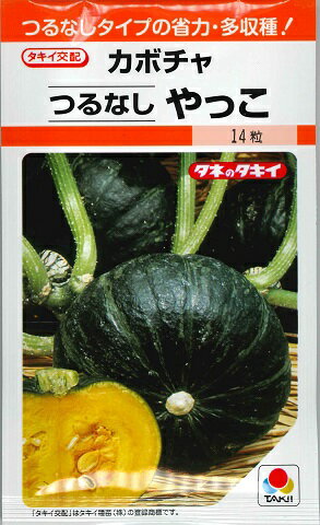 【カボチャ】つるなしやっこ【タキイ種苗】（12粒）野菜種[春まき]RFのサムネイル