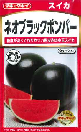【黒皮小玉スイカ】ネオブラックボンバー 【タキイ交配】（7粒）野菜種/タキイ種苗[春まき]NLのサムネイル