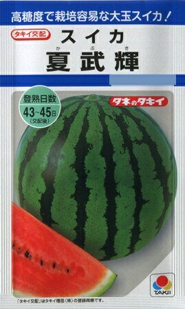 【スイカ】夏武輝(かぶき) 【タキイ交配】（9粒）野菜種/タキイ種苗[春まき]DF