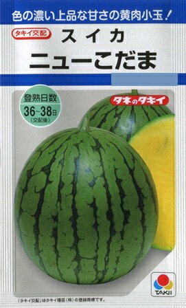 【スイカ】ニューこだま 【タキイ交配】（9粒）野菜種[春まき]DFのサムネイル