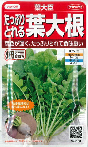 【たっぷりとれる葉大根】葉大臣 【サカタのタネ】（25ml）野菜種/葉ダイコン[春まき][秋まき]925100