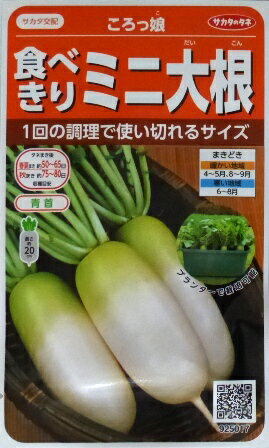 【食べきりミニ大根】ころっ娘【サカタの交配】（5ml）野菜種ダイコン/サカタのタネ 春まき 秋まき 925017