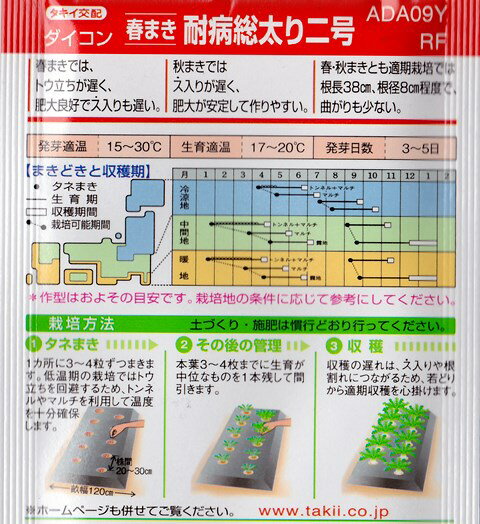 【ダイコン】春まき耐病総太り二号【タキイ交配】（4ml）野菜種[春まき]RF