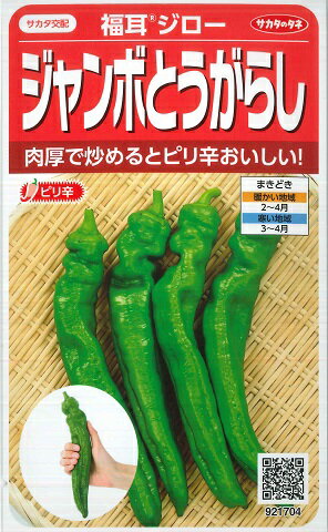 【ジャンボとうがらし】福耳ジロー【サカタ交配】（0.5ml）野菜種/サカタのタネ[春まき]921704