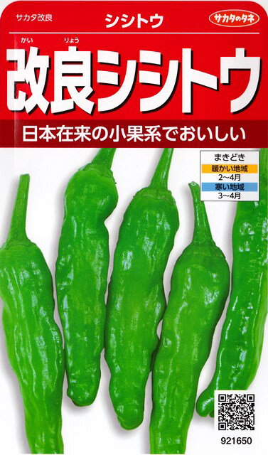 【改良シシトウ】ししとう【サカタのタネ】（2ml）野菜種[春まき] 921650