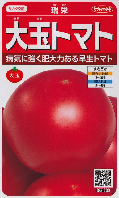 【大玉トマト 】瑞栄（ずいえい）【サカタ交配】（15粒）野菜種[春まき]920003