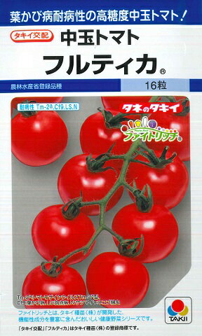 春植え野菜の種・苗！育てやすくて美味しい4月に植える野菜の種・苗のおすすめは？