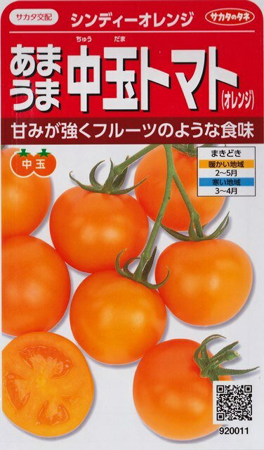 【あまうま中玉トマト（オレンジ）】シンディーオレンジ【サカタ交配】（13粒）野菜種[春まき]920011