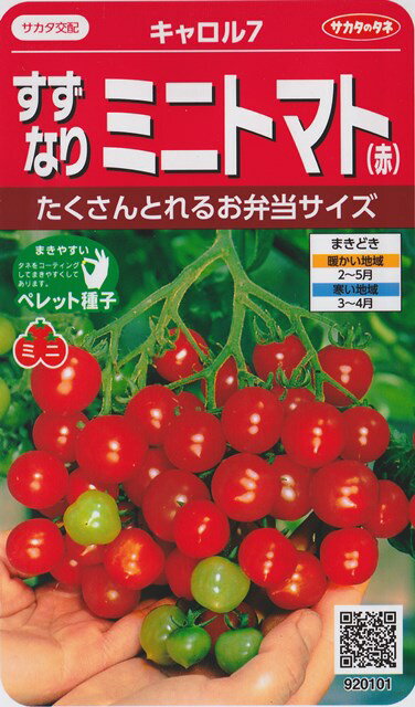 【鉢植えミニトマト】レジナ【サカ