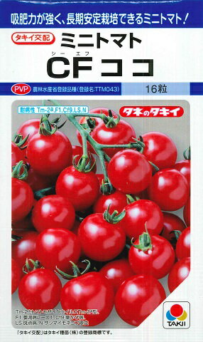 【ミニトマト】CFココ【タキイ交配】（16粒）野菜種/タキイ種苗[春まき]DF