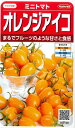 ミニトマトオレンジアイコサカタ交配 (1