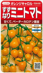 https://thumbnail.image.rakuten.co.jp/@0_mall/yonezawa/cabinet/tane01/1014tomatos/orangecarolsakata.jpg