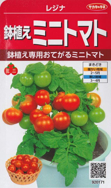 【鉢植えミニトマト】レジナ【サカタのタネ】（0.6ml）野菜種[春まき]920171