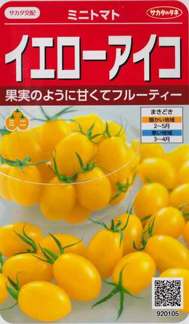 【ミニトマト】イエローアイコ【サカタ交配】（13粒）野菜種[春まき]920105