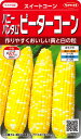 【スイートコーン】ピーターコーン【サカタのタネ】（23ml）野菜種/とうもろこしの種[春まき]921202