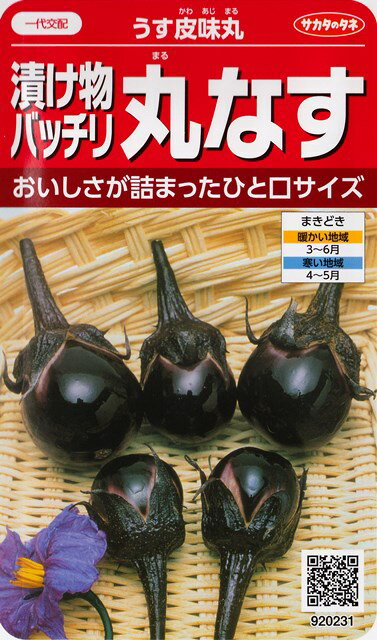 【漬け物バッチリ丸なす】うす皮味丸【サカタのタネ】 0.8ml 一代交配/野菜種/丸ナス[春まき]920231