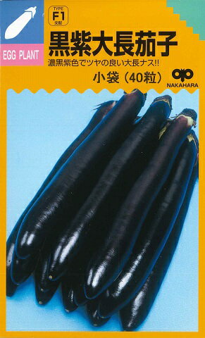 【ナス】黒紫大長茄子F1【中原採種場】（35粒）/野菜種[春まき]【RCP】