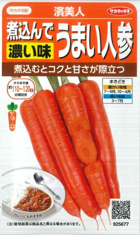 【煮込んで濃い味うまい人参】濱美人【サカタのタネ】（3ml）野菜種[春まき][秋まき]ニンジン925677