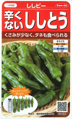 【ししとうピーマン】ししピー【サカタ一代交配】（20粒）野菜種 /サカタのタネ[春まき]921630