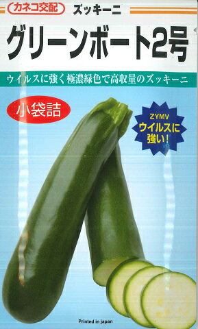 【ズッキーニ】グリーンボート2号【カネコ交配】（10粒）春まき野菜種【RCP】