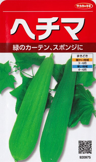 【ヘチマ】 【サカタのタネ】（8ml）野菜種[春まき]920975