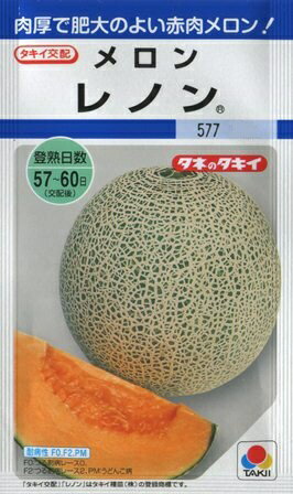 【メロン】レノン【タ