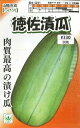 徳佐漬瓜（30粒）野菜種/山陽種苗