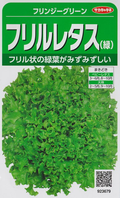 ★送料90円メール便OK★【フリルレタス】フリンジーグリーン【サカタのタネ】(3ml)[春まき][秋まき] 923679【RCP】