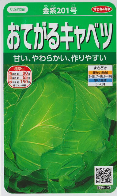 【おてがるキャベツ】金系201号【サカタ交配】（0.8ml）野菜種[春まき][秋まき]922002 1